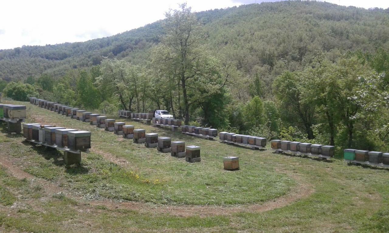 Вілла Apimonte Casa Do Pascoal - Pn Montesinho Браганса Екстер'єр фото